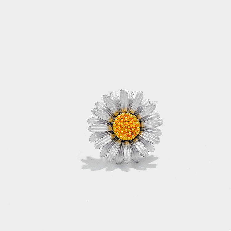 Simple and elegant all-match brooch