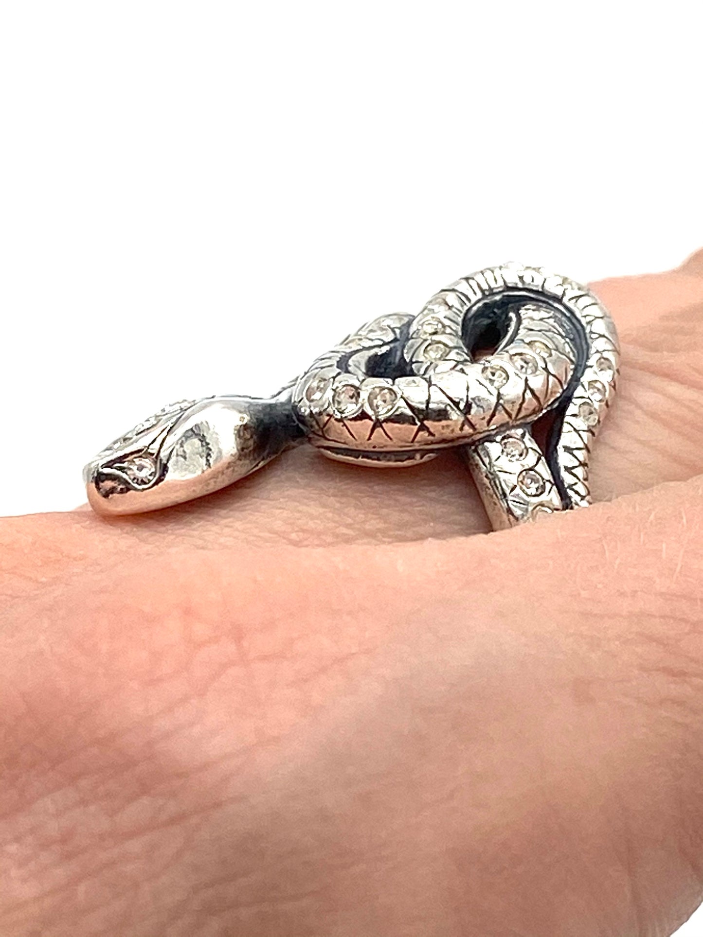 Python - Classic Animal Ring