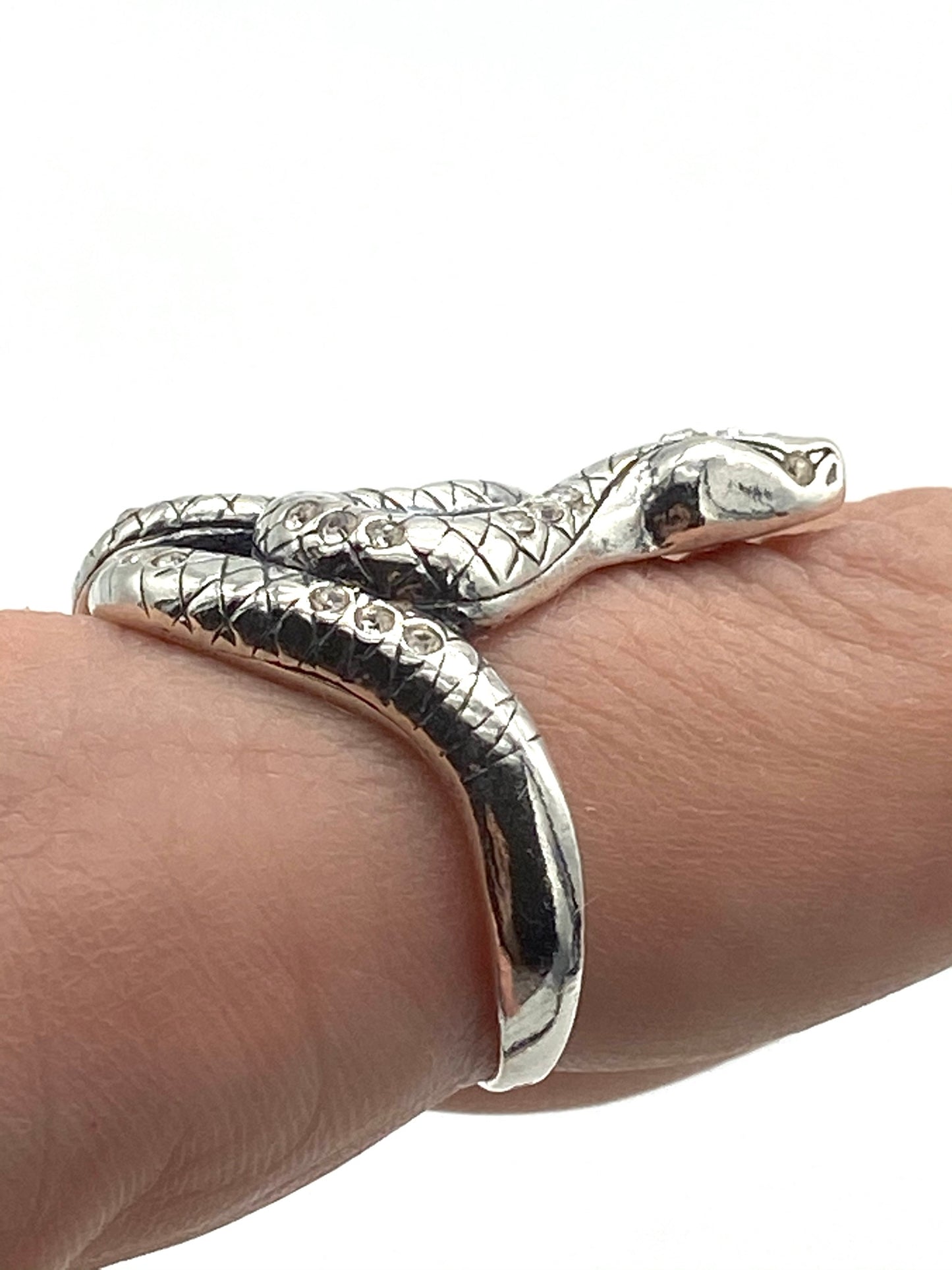 Python - Classic Animal Ring