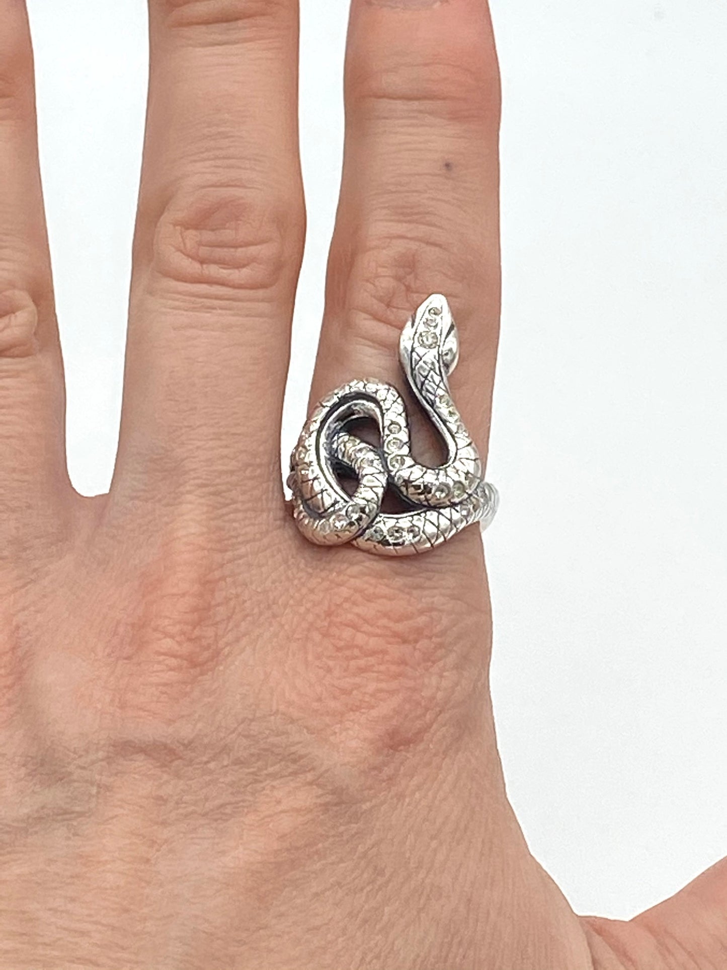 Python - Classic Animal Ring